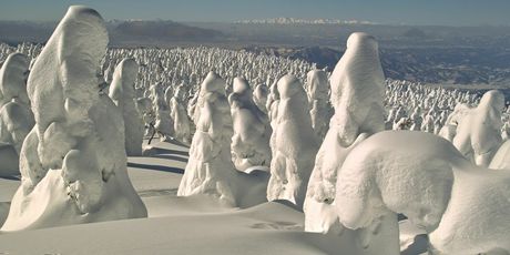 Snježna čudovišta - 7