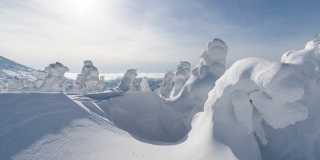 Snježna čudovišta - 8