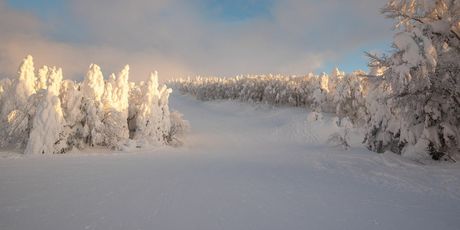 Snježna čudovišta - 9