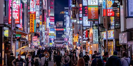 Kviz općeg znanja - 8