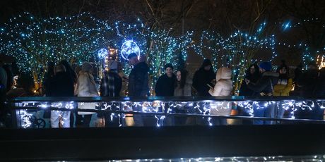 Advenski sajam na najvišoj zgradi Europske unije u Poljskoj - 5