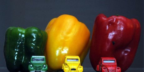 Spektakl za cijelu obitelj u Family Mallu