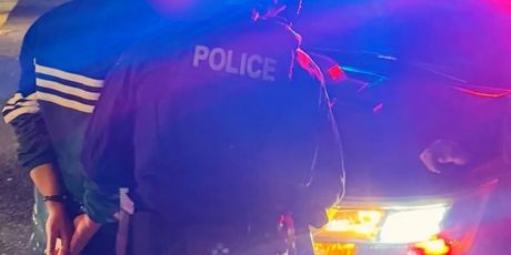 Uhićenje Nicka Reinera - 1