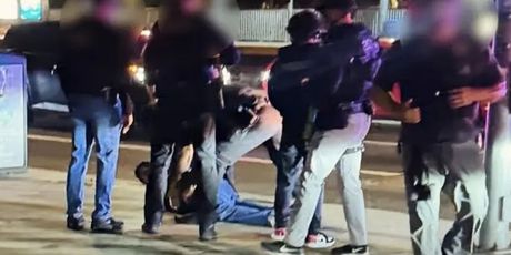 Uhićenje Nicka Reinera