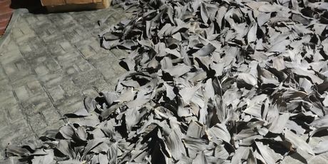 Interpolova operacija Grom 2025. - 4