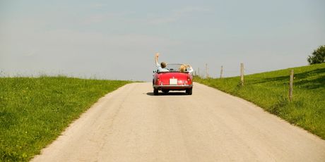 Novi kviz općeg znanja - 8