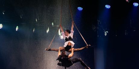 Duo Turkeev & Kids, finale Supertalenta - 4