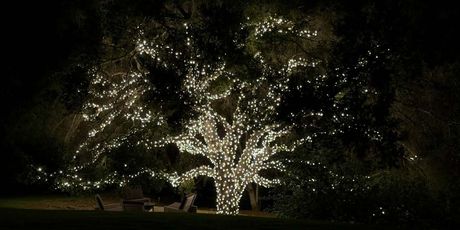 Kendall Jenner na Instagramu