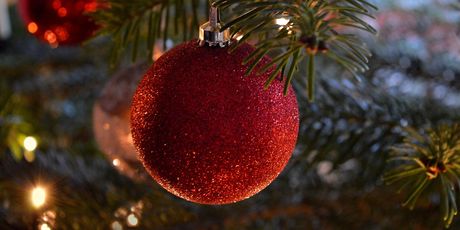 Doček/Ilustracija - 1