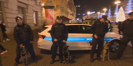 Domagoj Mikić i Davor Tor - 4