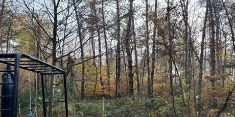 Forest Cabin Nest Međimurje - 25