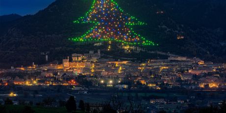 Najveće božićno drvce na svijetu - 1