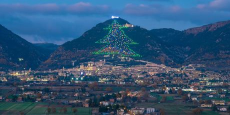 Najveće božićno drvce na svijetu - 2