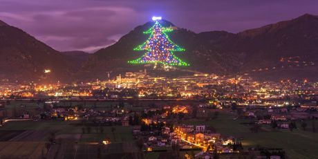 Najveće božićno drvce na svijetu - 3