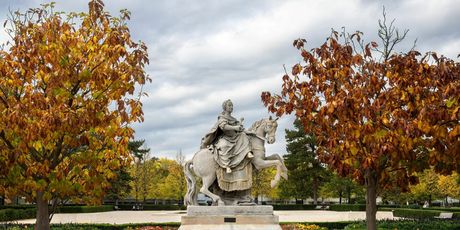 Kralj Marija Terezija - 2