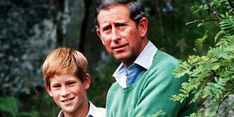 Kralj Charles III. i princ Harry - 4