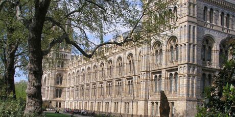 National History Museum - 5