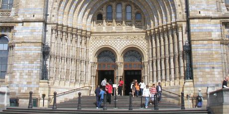 National History Museum - 6
