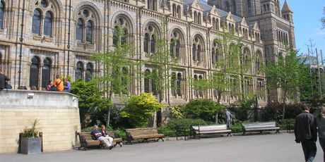National History Museum