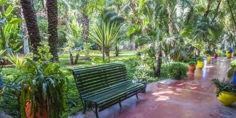 Majorelle Garden