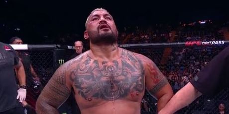 Mark Hunt