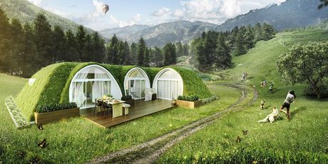 Green Magic Homes - 5