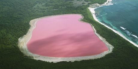 Ružičasto jezero u Australiji - 1