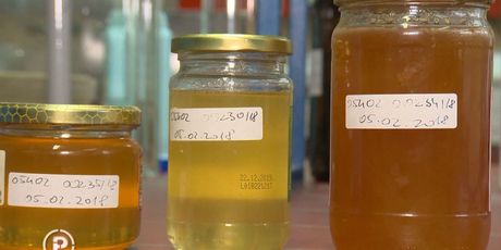 Koliko je kvalitetan med koji se prodaje u Hrvatskoj? (Foto: Dnevnik.hr) - 2