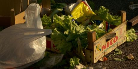 Hrana se prerano baca u otpad (Foto: Dnevnik.hr) - 3