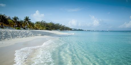 Bahami
