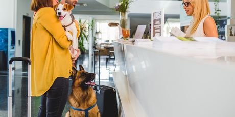 LifeClass Terme Sveti Martin - pet friendly lokacija