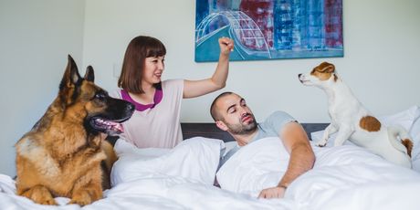 LifeClass Terme Sveti Martin - pet friendly lokacija