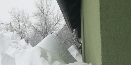 Snijeg u Gorskom kotaru (Foto: Marko Balen) - 10
