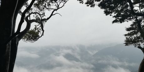 Japan - 8