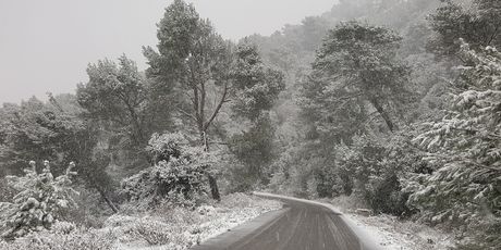 Snijeg na Lastovu (FOTO Jelena Šutić) - 1