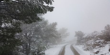 Snijeg na Lastovu (FOTO Jelena Šutić) - 2