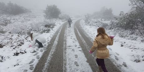 Snijeg na Lastovu (FOTO Jelena Šutić) - 5