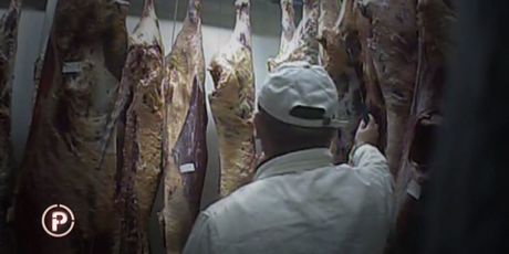 Afera meso iz Poljske (Foto: Dnevnik.hr) - 1