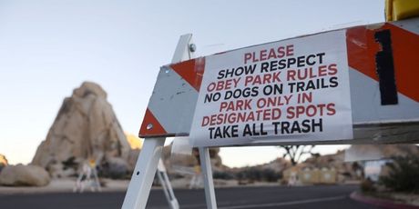 Neki nacionalni parkovi u SAD-u su zatvoreni zbog premalo osoblja koje ne radi zbog blokade. Nacionalni park Joshua Tree u Kaliforniji (Foto: AFP) - 2