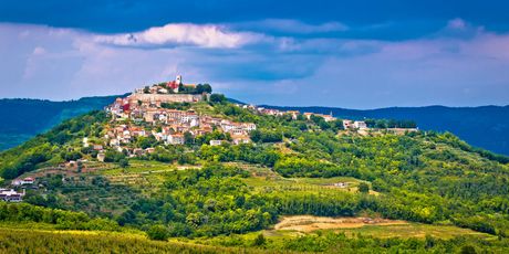 Motovun