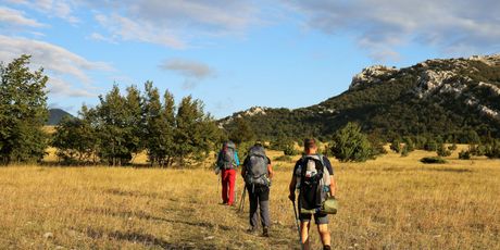 Highlander Velebit