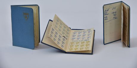 Izložba Dinamovo proljeće