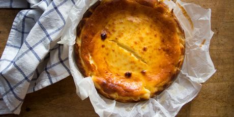 Torta od sira