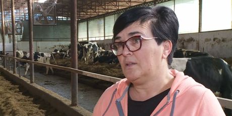 Lidija Pavić iz Udruge Uzgajivača Holstein Goveda (Foto: Dnevnik.hr)
