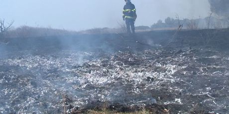 Posljedice nekontroliranog paljenja vatre (Foto: Dnevnik.hr) - 1