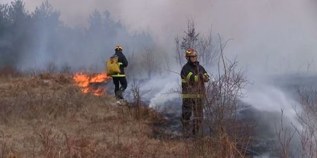 Posljedice nekontroliranog paljenja vatre (Foto: Dnevnik.hr) - 3