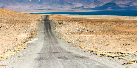 Karakul