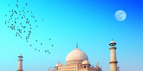Taj Mahal - 3