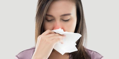 Muči li vas alergija ili prehlada: