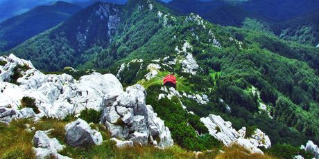 Risnjak